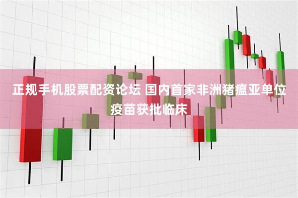 正规手机股票配资论坛 国内首家非洲猪瘟亚单位疫苗获批临床