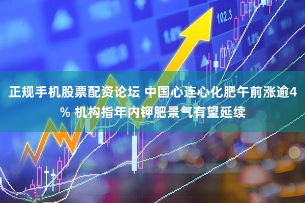 正规手机股票配资论坛 中国心连心化肥午前涨逾4% 机构指年内钾肥景气有望延续